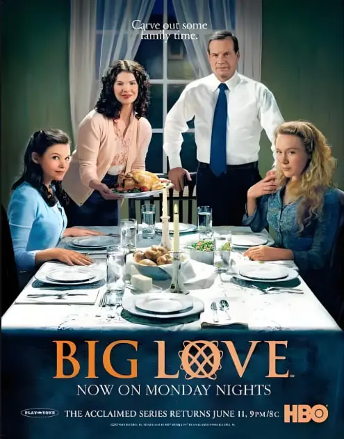 《大爱 第二季》：家庭的坚守与人性的光辉，催泪回归！深度解析与观后感