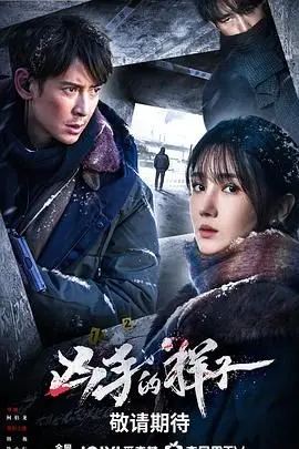 《凶手的样子》：剖析人性深渊，一场关于道德模糊与真相追逐的极致体验